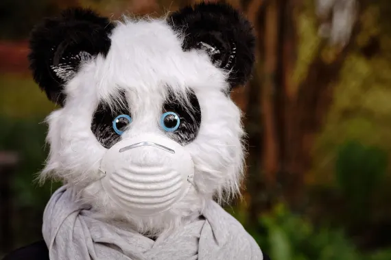 Cazino Cabaret Club Cazinou Suport